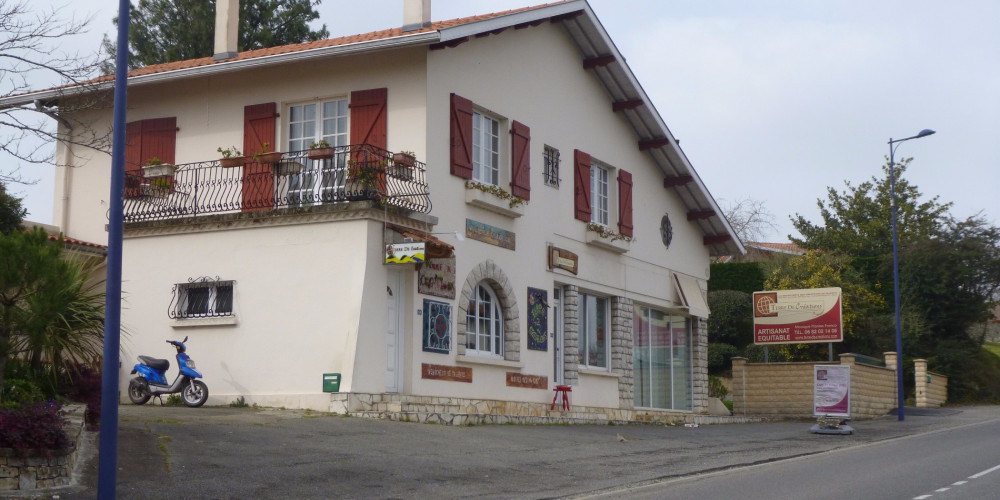 local commercial à ST LON LES MINES (40300)